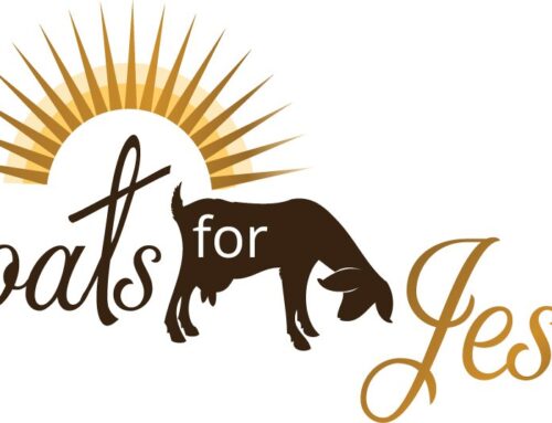 Professional Logo Design  |  Goats for Jesus