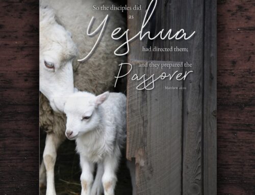 Passover Poster Design Spring 2019