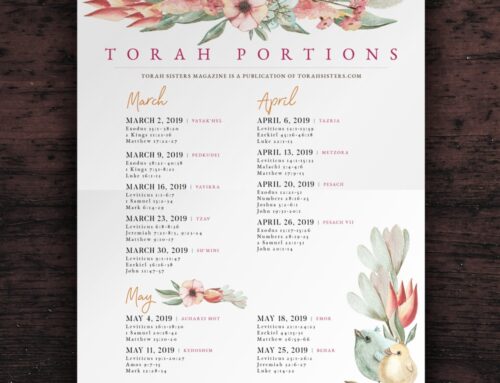 Torah Portions Poster Design Spring 2019