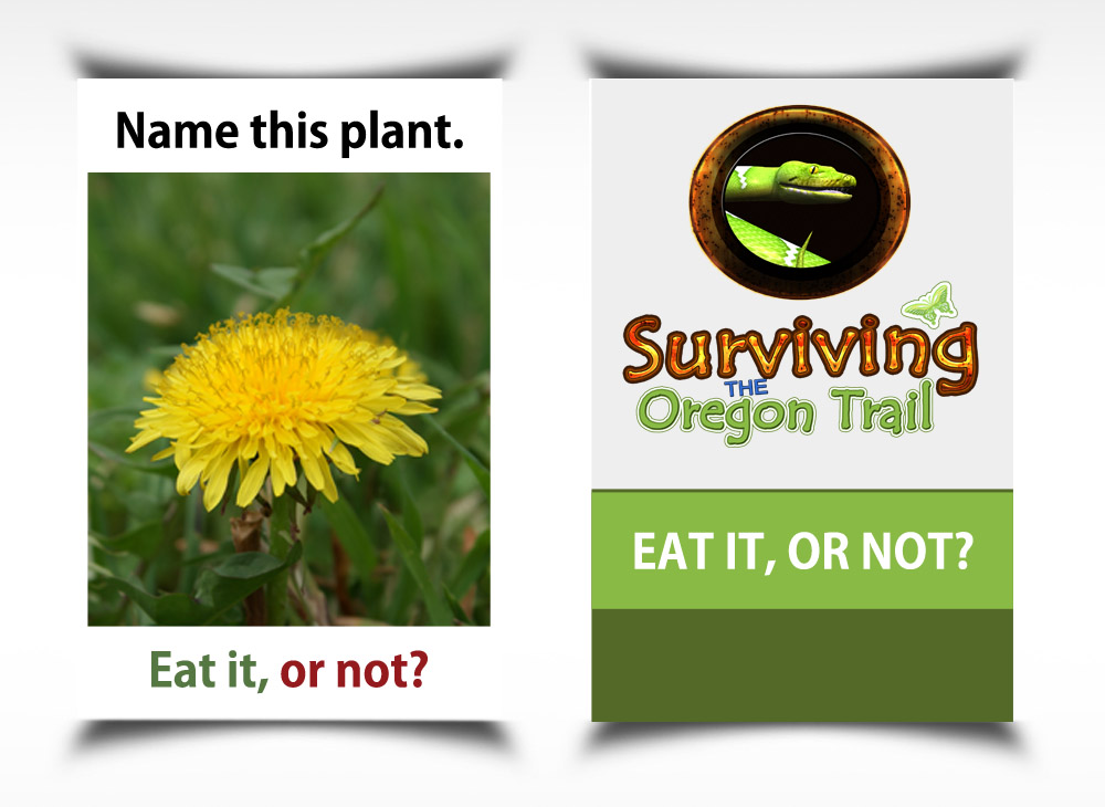 custom wild edible flash card design