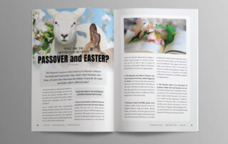 2026-Magazine Issue 29 – pg 40-41